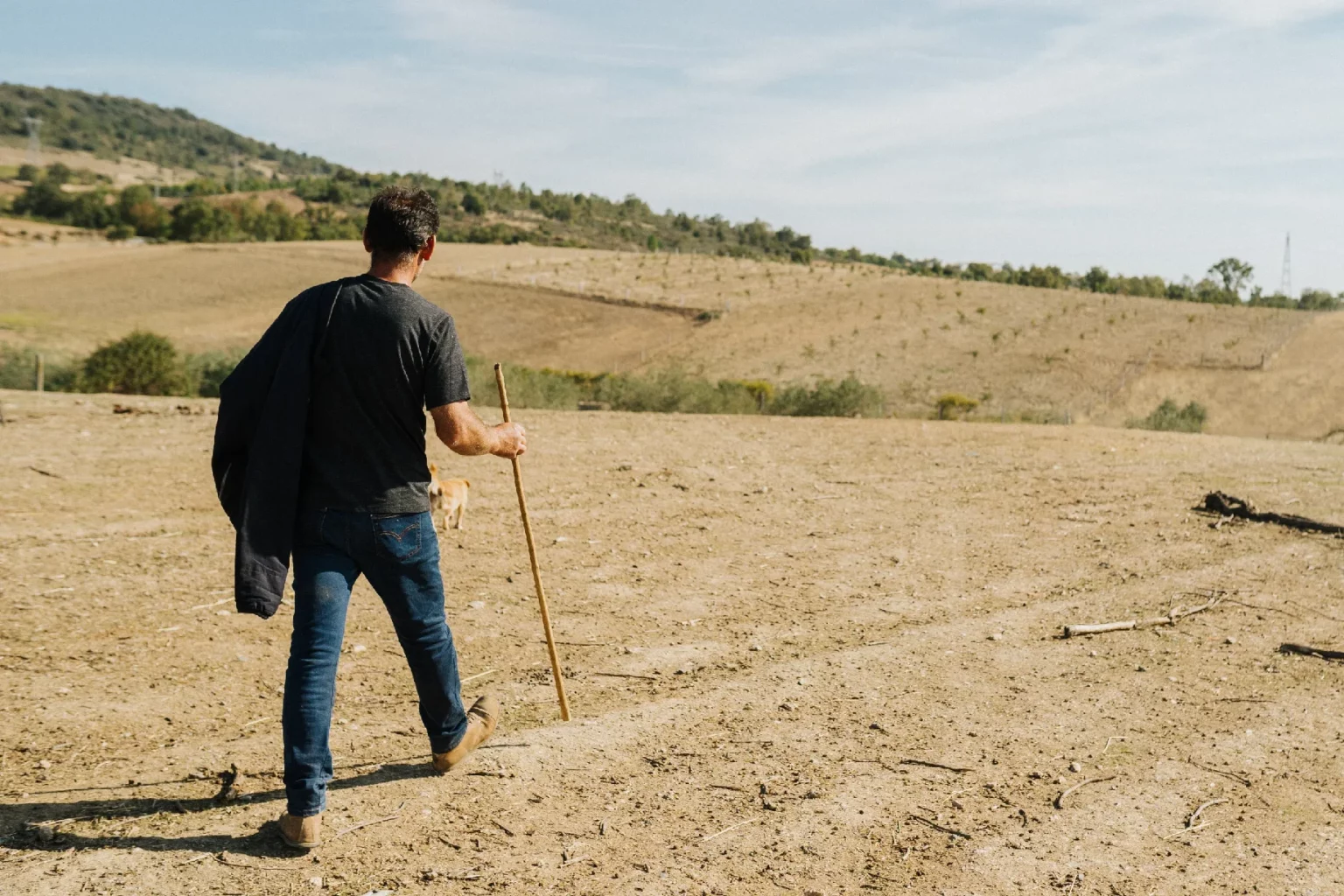 Queijaria Serra do Gajope – Pastor Virgilio