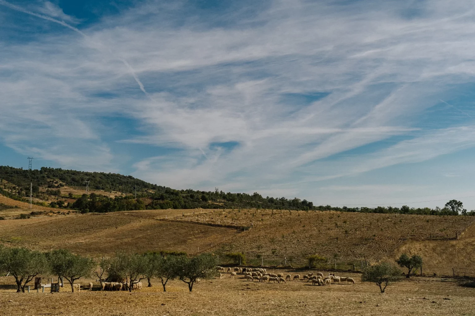 Queijaria Serra do Gajope